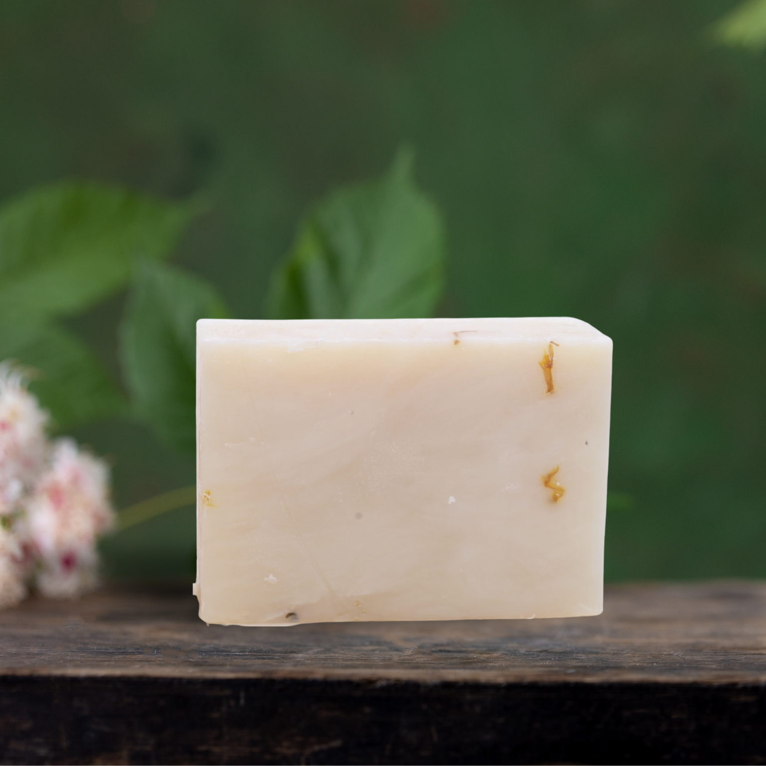 Paseo Silvestre Orchard Blend Soap