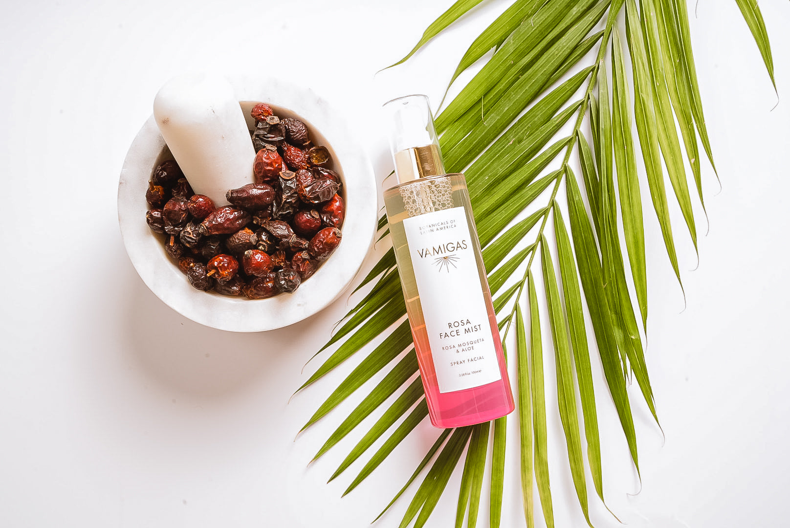 Rosehip Face Mist - Rosewater, Certified Organic Rosehip Oil & Aloe